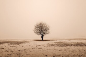 Solitary bare tree in a vast, misty, sepia-toned landscape