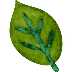 fresh green leaf