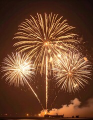 Spectacular Fireworks Display Illuminating the Night Sky with Golden Bursts.