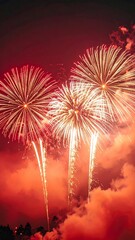 Spectacular Fireworks Display Illuminating the Night Sky.