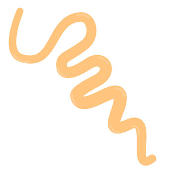 Treponema Pallidum Syphilis Bacterium Illustration