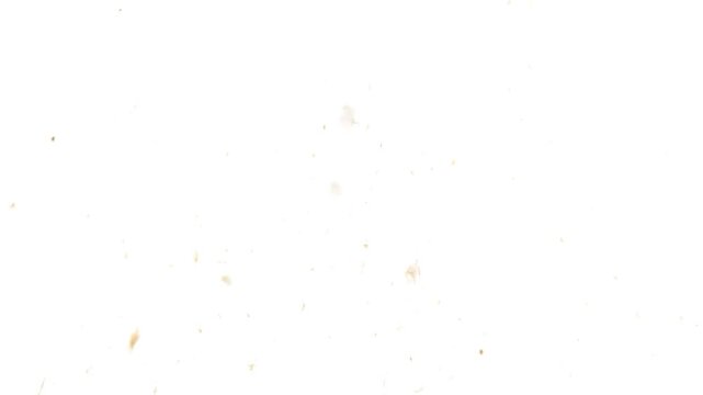 A detailed image of a food surface with scattered brown speckles and irregular patterns