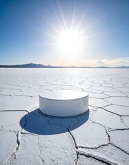 Cylindrical white object on salt flat under bright sun, against mountains