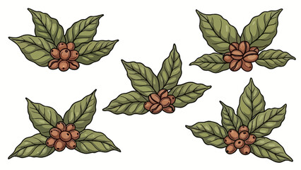 A collection of five detailed illustrations of coffee plant branches with green leaves and ripe coffee cherries.