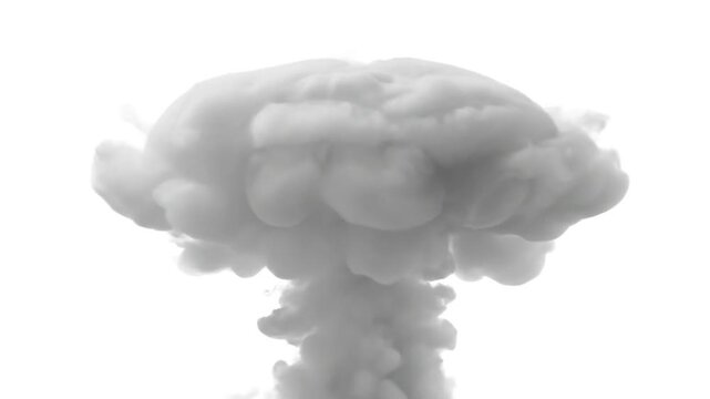 A grayscale mushroom-shaped cloud against a white backdrop, resembling an explosion