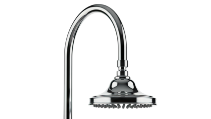 Chrome Shower Head and Arm