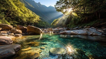 Sunlight Through Green Trees Illuminates Clear River Water Reflecting Sky in Tropical Forest Scene with Rocks and Foliage in Bright Outdoors Nature Scenery