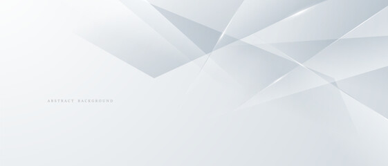 gray and white abstract background modern vector illustration © A-R-T-I Vector