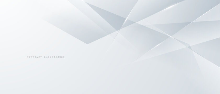 gray and white abstract background modern vector illustration