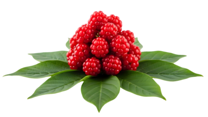 Cluster of bright red raspberries isolated on transparent background