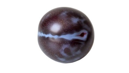 A dark brown oval stone with a white and blue band isolated on transparent background