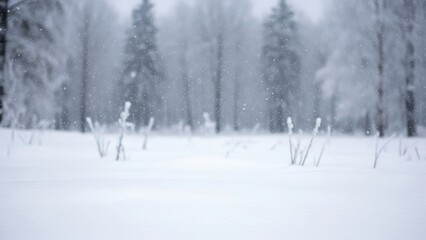 Snowy landscape with frosty trees and frozen field in winter weather conditions