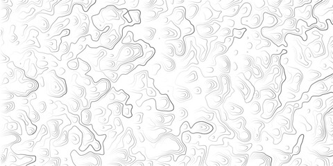 Obraz premium Modern Minimalist Grey White Topography