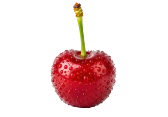 Vibrant ruby red cherry with fresh green stem, glistening water droplets, close-up macro on transparent background, copy space, studio light, concept for premium fruit advertising