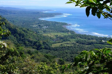 Lush Tropical Coastline with Dense Green Forest Meeting Turquoise Ocean Under Bright Sunlight in Exotic Location