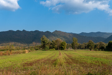 Fototapeta premium autumn landscape with mountains and blue sky