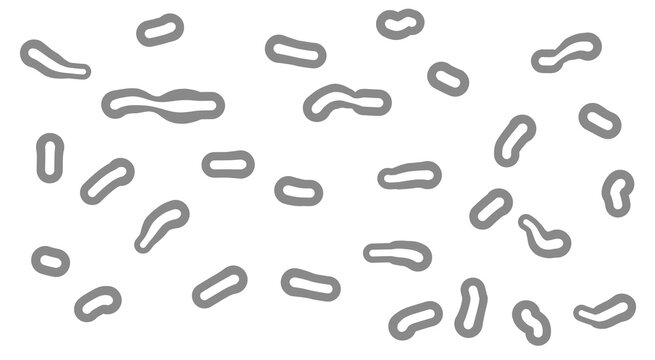 Abstract organic shapes pattern of microbes or bacteria cells on transparent background