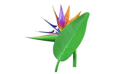 Bird of Paradise Flower and Leaf