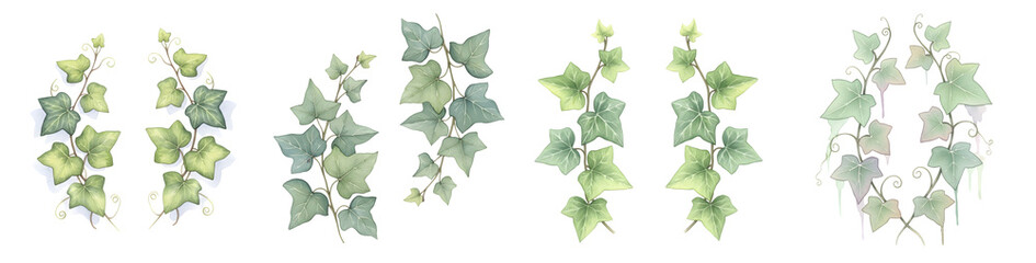 Handpainted watercolor ivy leaf collection isolated on a transparent background