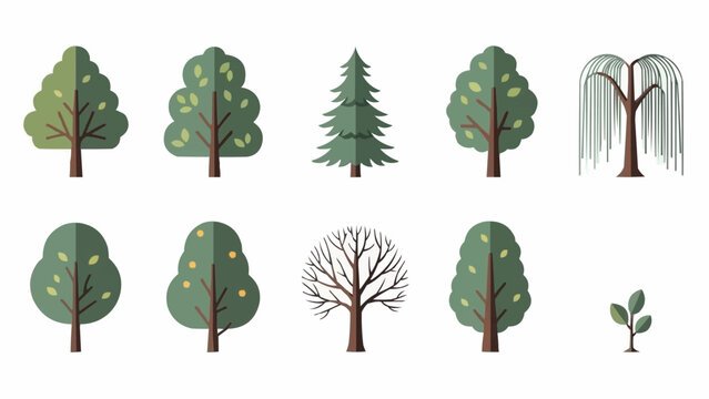Collection of diverse flat design trees and sapling illustration.