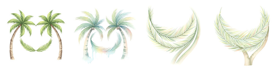 Obraz premium Tropical watercolor palm tree and frond set with a transparent background