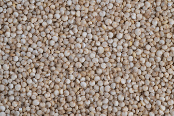 Fototapeta premium Nutritionfocused image of quinoa seeds emphasizing health benefits, Macro photograph of quinoa seeds emphasizing their rich protein and fiber for healthfocused packaging