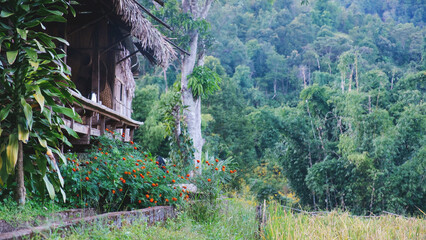 Wooden house in the forest