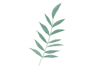 Fototapeta premium 色鉛筆タッチのシンプルな植物