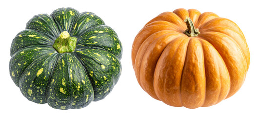 Set of pumpkin isolated object