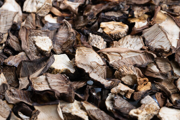 Dried mushrooms stored, Diverse selection of preserved dried mushrooms for cooking, Collection of...