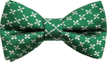 Green bow tie fabric pattern formal fashion accessory festive elegant clothing apparel