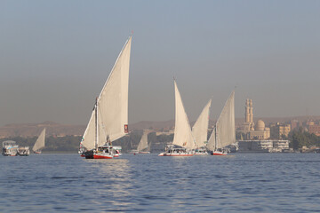 Traditional sailboats (felucca) on the Nile 