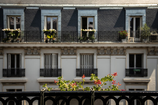 Balcony Flowers Facing a Parisian Residential Building