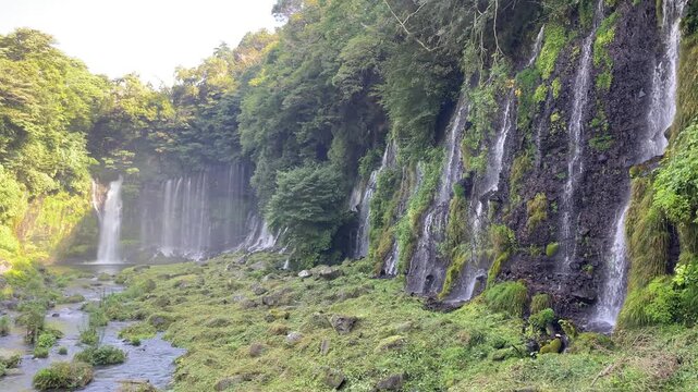 富士山の伏流水、恵みの白糸ノ滝 