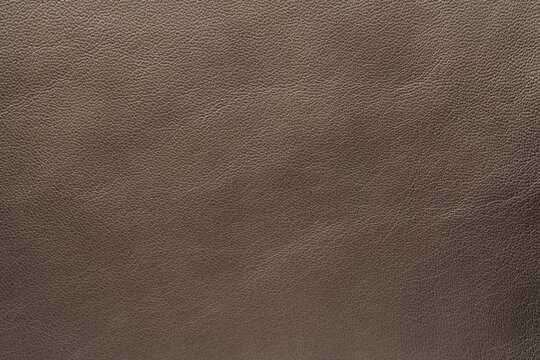 Closeup texture full grain gray brown leather