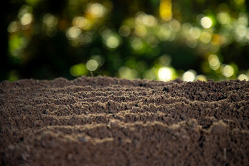 Humus and earth ground. Farming concept with soil and farm ground. Agricultural field cultivated...