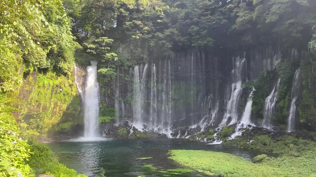 富士山の伏流水、恵みの白糸ノ滝 