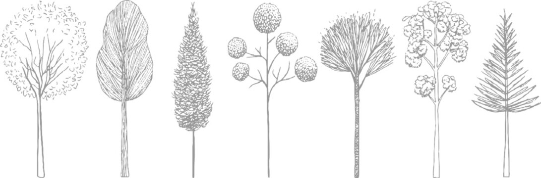 A group of seven hand-drawn tree in grey, presenting a diverse array of arboreal shapes and detailed textures artistic endeavors