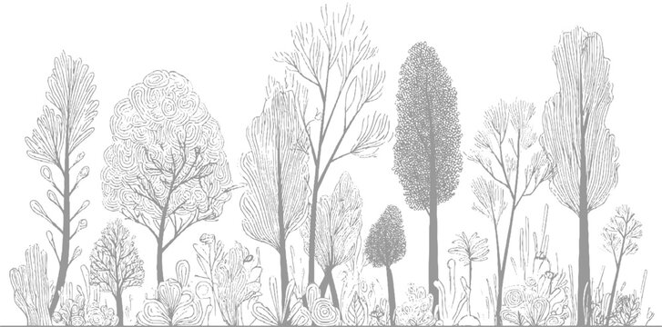 A delicate hand-drawn forest panorama featuring a diverse array of trees with intricate line work and detailed undergrowth, creating a monochromatic natural scene
