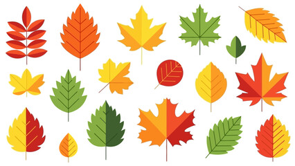 Obraz premium Colorful Autumn Leaves Collection: Maple, Oak, and Rowan - Vector Art