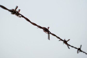 a close-up photograph of a section of rusty barbed wire covered in ice crystals on a cold winter day