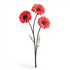 A bouquet of red daisies, isolate on white background.