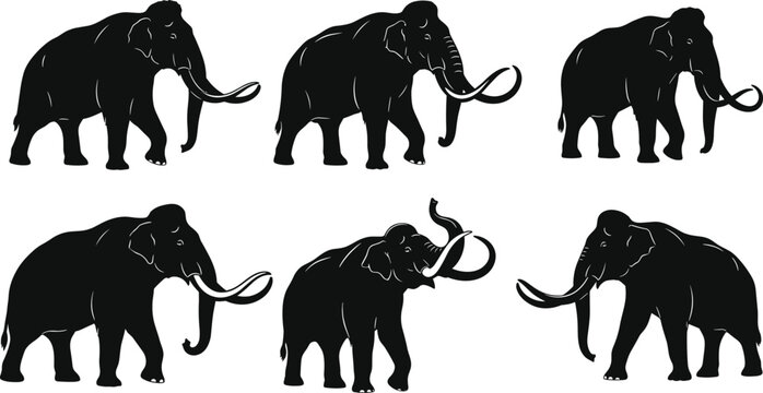Silhouettes of woolly mammoths in varied poses showcasing tusk curvature and prehistoric anatomy for educational and artistic use