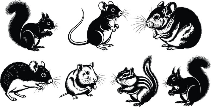 Stylized Black and White Rodent and Squirrel Silhouettes Vector Set featuring Mice, Chipmunks, and Squirrels for Nature, Wildlife, Forest Animals, and Pet Designs.