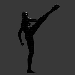 Fototapeta premium Abstract halftone silhouette of a person performing a high martial arts kick