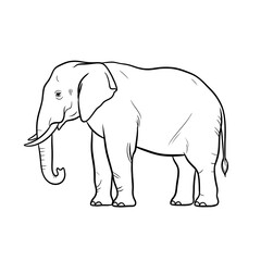 Fototapeta premium Elephant illustration, outline drawing, side view, white background