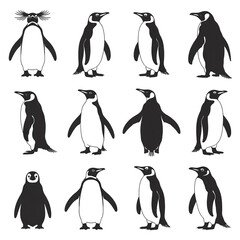 Obraz premium Penguin Wildlife Photos and Cartoon Character Illustrations Set Cute Antarctic Bird Graphics and Black White Silhouettes