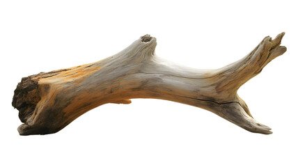 Driftwood piece with unique natural texture and shape