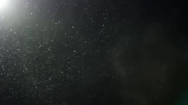 Atmospheric Slow Motion Dust Particles with Bright Lens Flare.