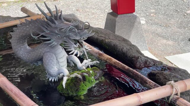 赤城神社の手水舎の龍